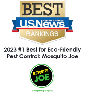 us news pest control